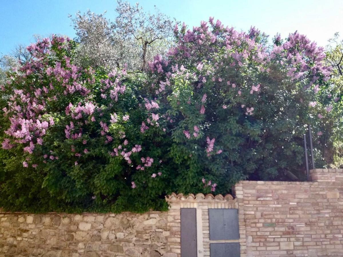 Lavanda E Rosmarino Home Assisi Buitenkant foto